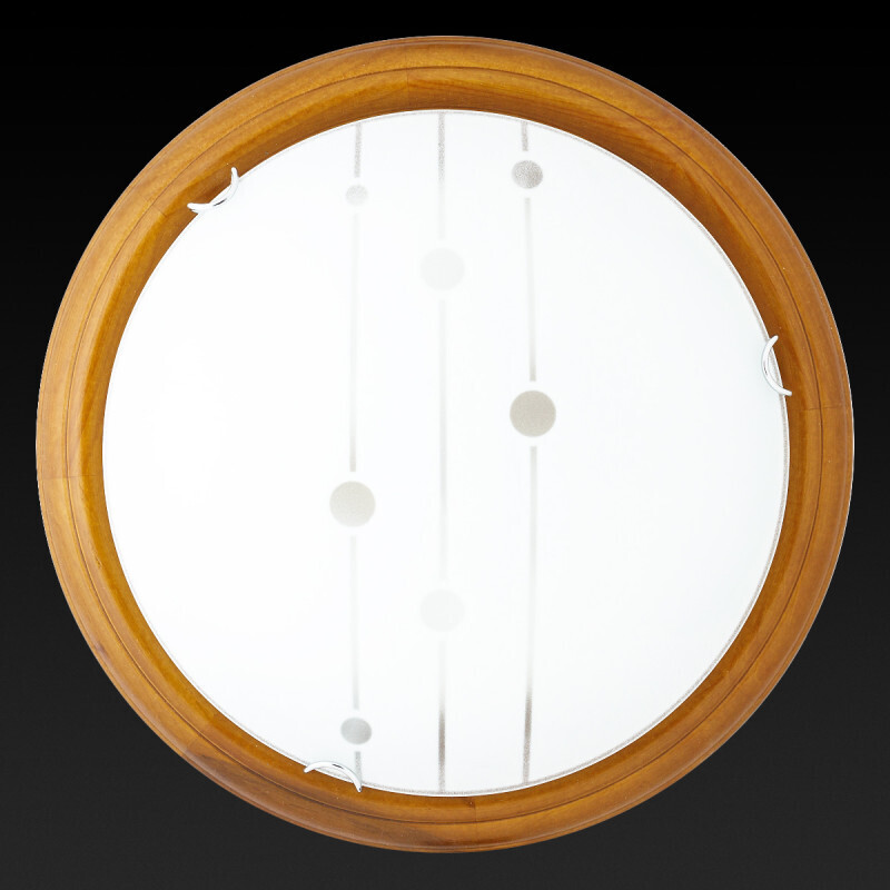 Накладной светильник TOPLIGHT TL9033Y-02OA