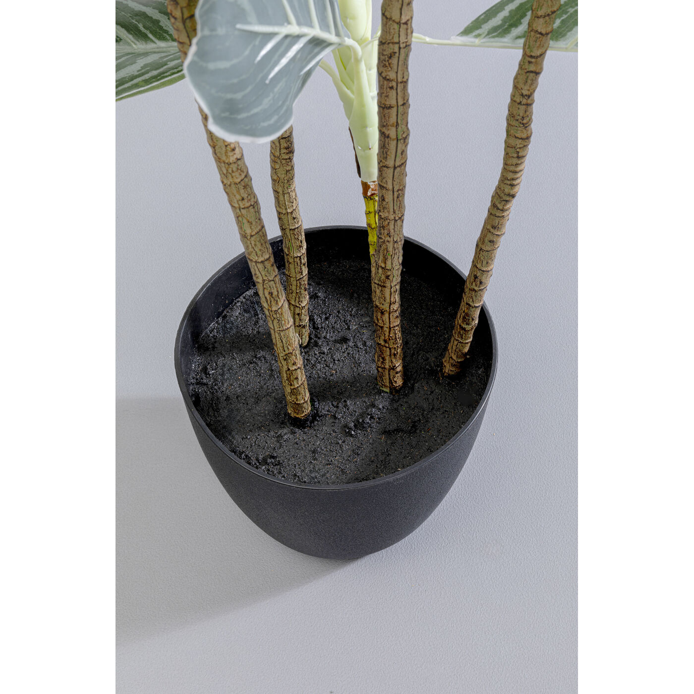Растение декоративное Calathea 140 см KARE 55914