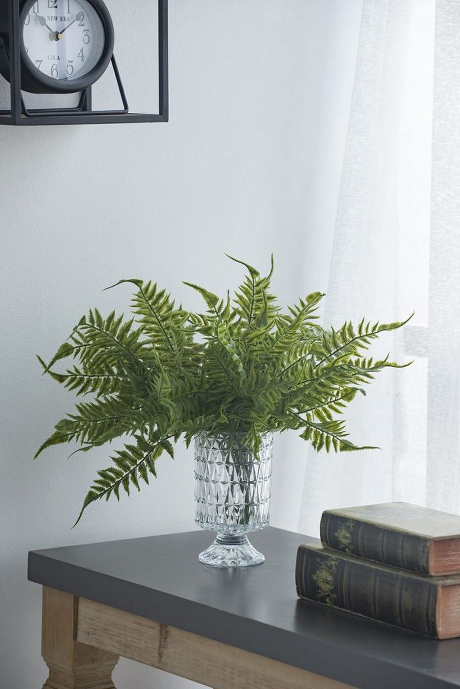 Растение декоративное Папоротник Glasar F8151