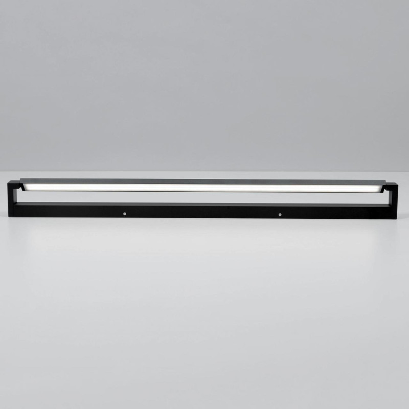 Светильник для картин Citilux CL708291N