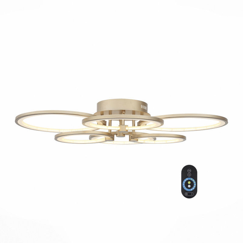 Накладной светильник ST Luce SL867.202.06