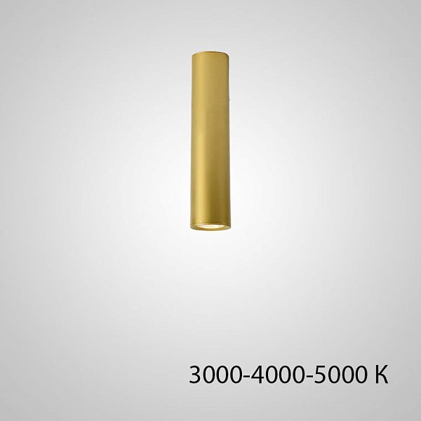 Точечный светильник PAN H20 Gold Трехцветный свет by ImperiumLoft