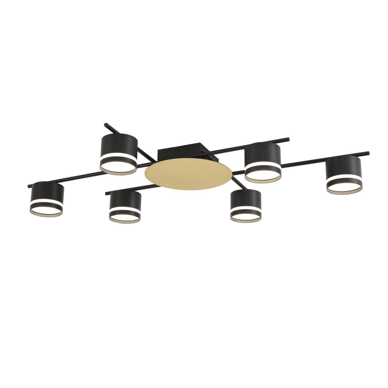 Светильник потолочный Lumion 8304/6C