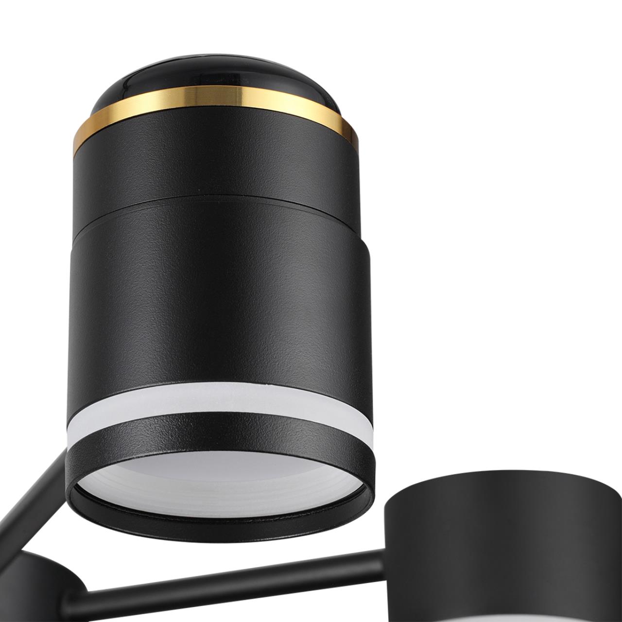 Люстра потолочная Lumion 8234/6C