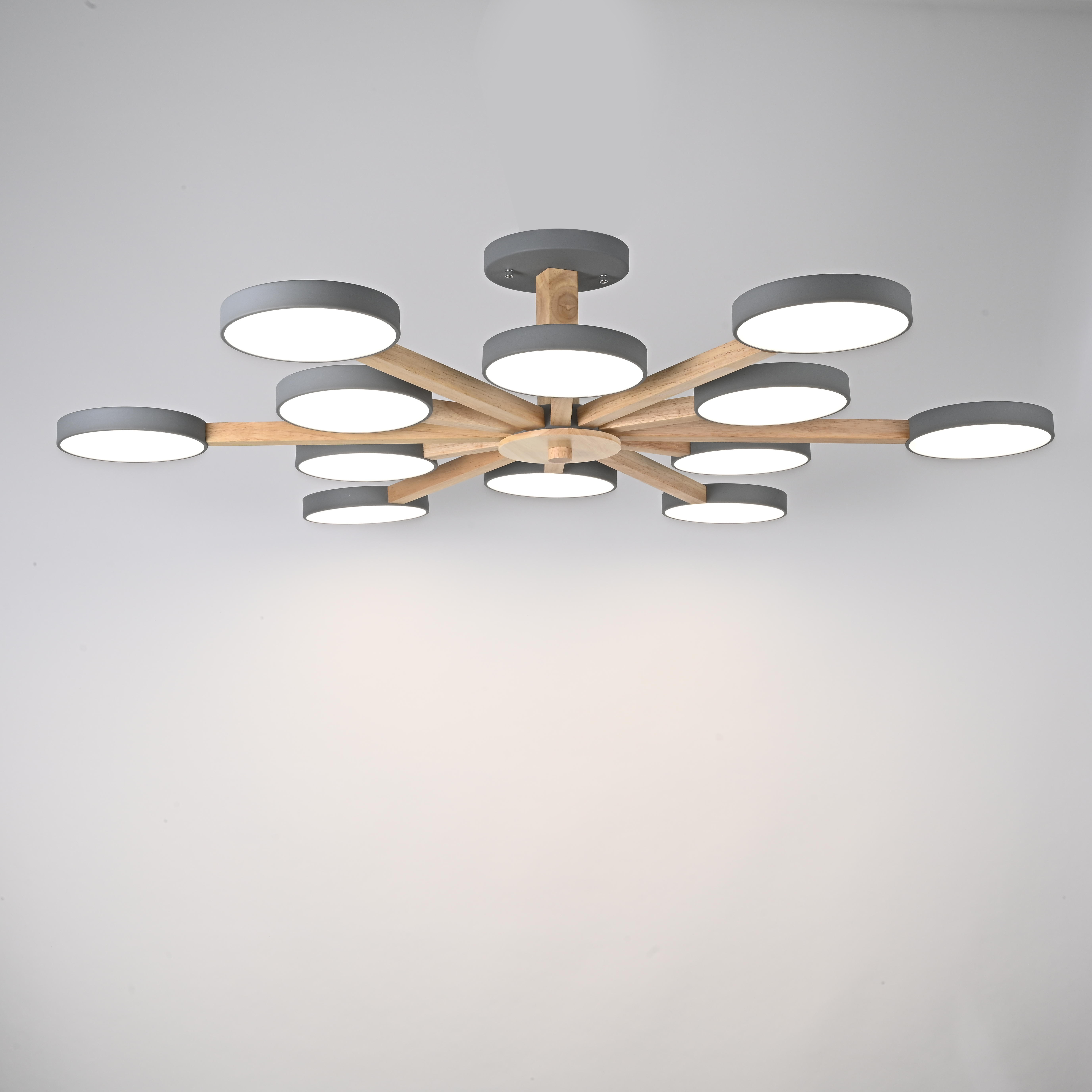 Потолочный светильник TURNA L12 Grey by ImperiumLoft