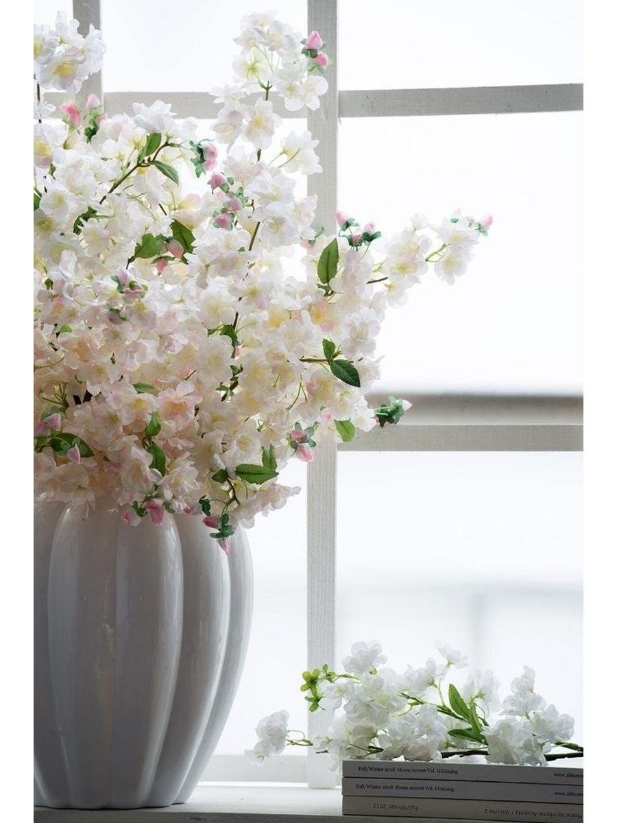 Растение декоративное Вишня Glasar 29635-CRPI/1