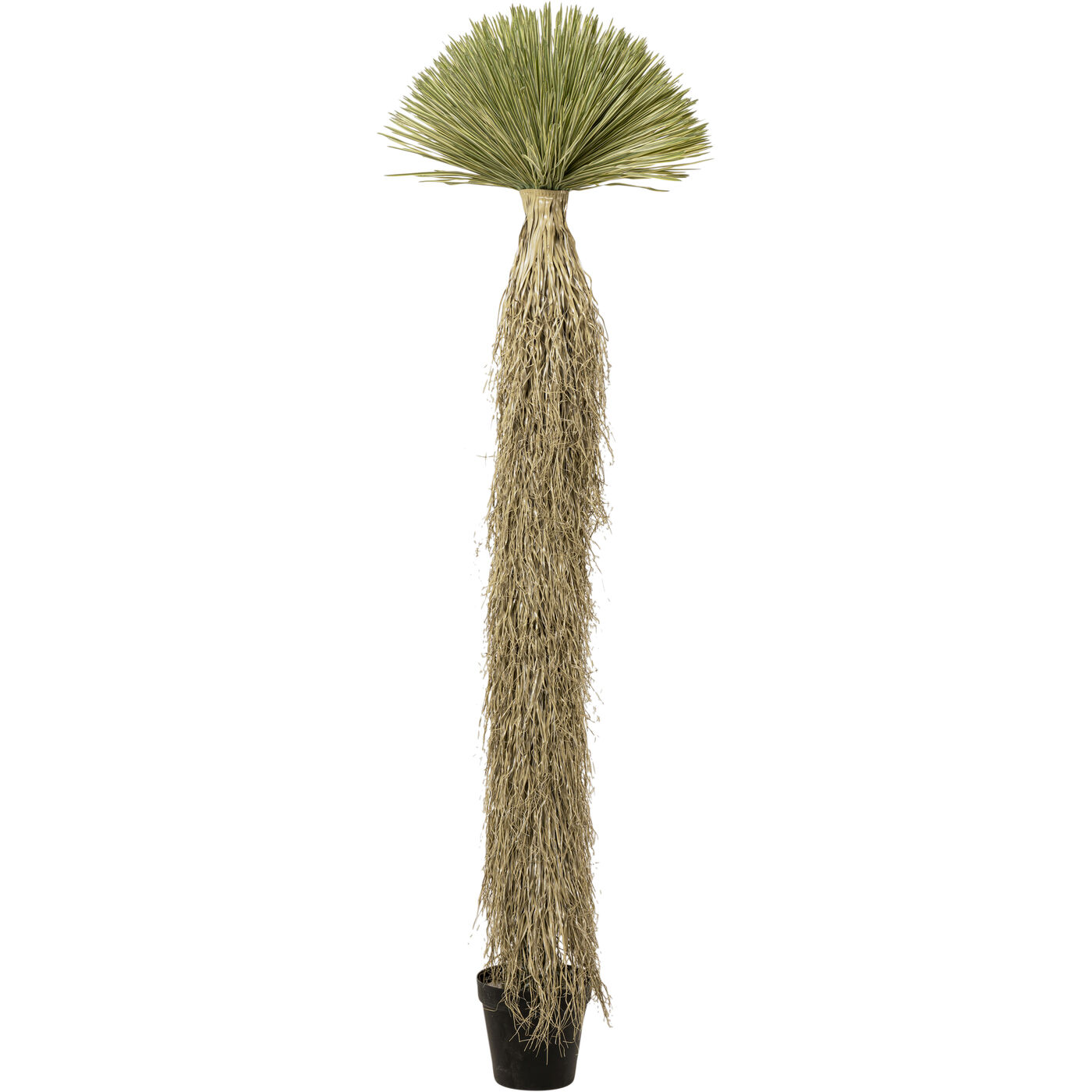 Растение декоративное Yucca Rostrata 240 см KARE 55920