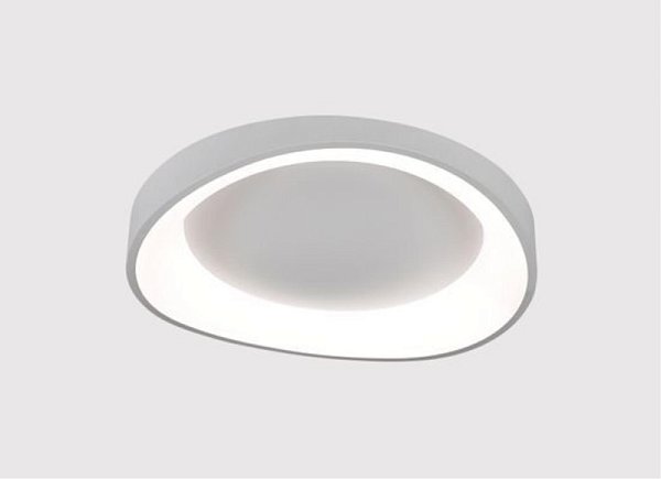 Накладной светильник ARTE Lamp A2698PL-60WH