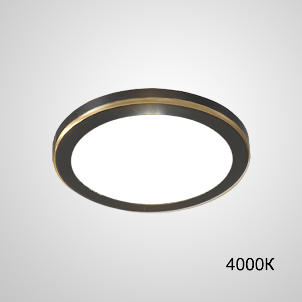 Точечный светодиодный светильник HEIN D12 Black 4000К by ImperiumLoft