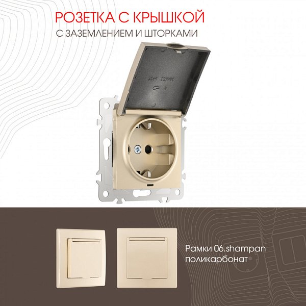 Розетка Arte Milano 206.41-1.shampan