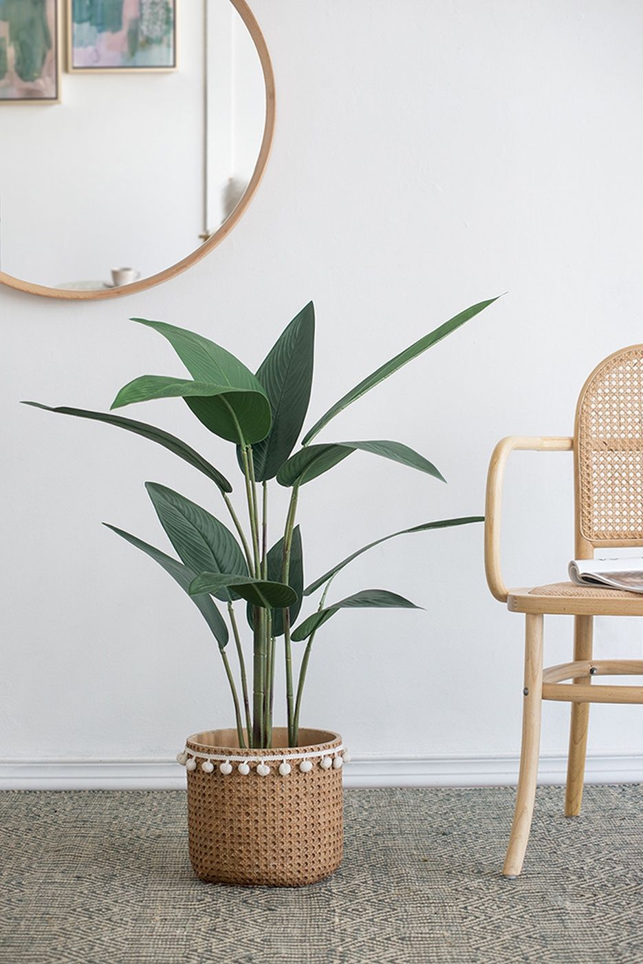 Растение декоративное Glasar SA11850-DS-AB