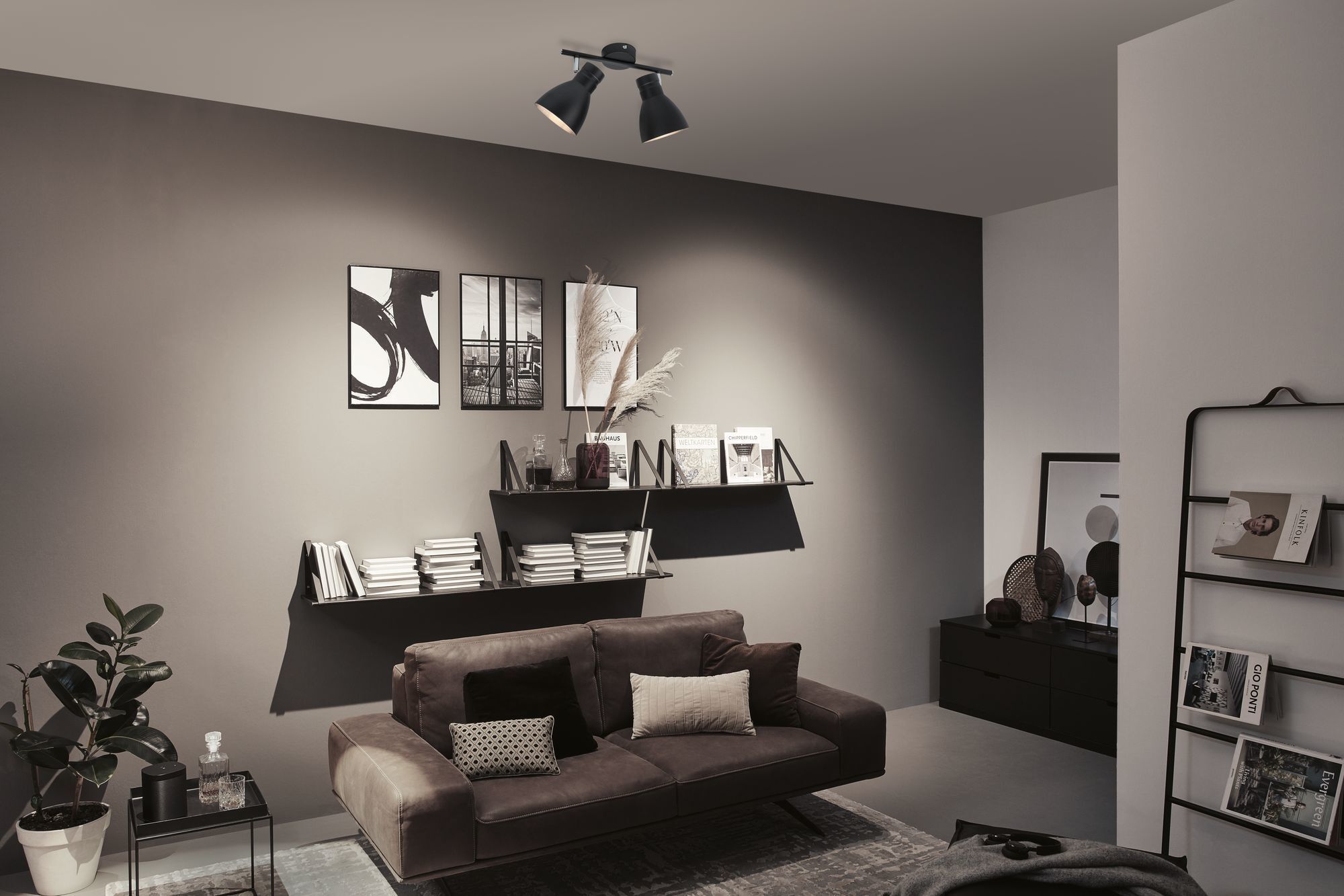 Спот Paulmann 66760