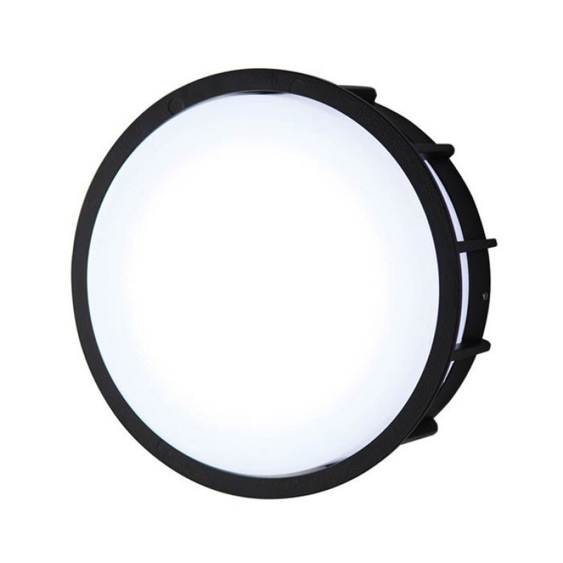 Настенно-потолочный светильник L'Arte Luce Telma L78055.31