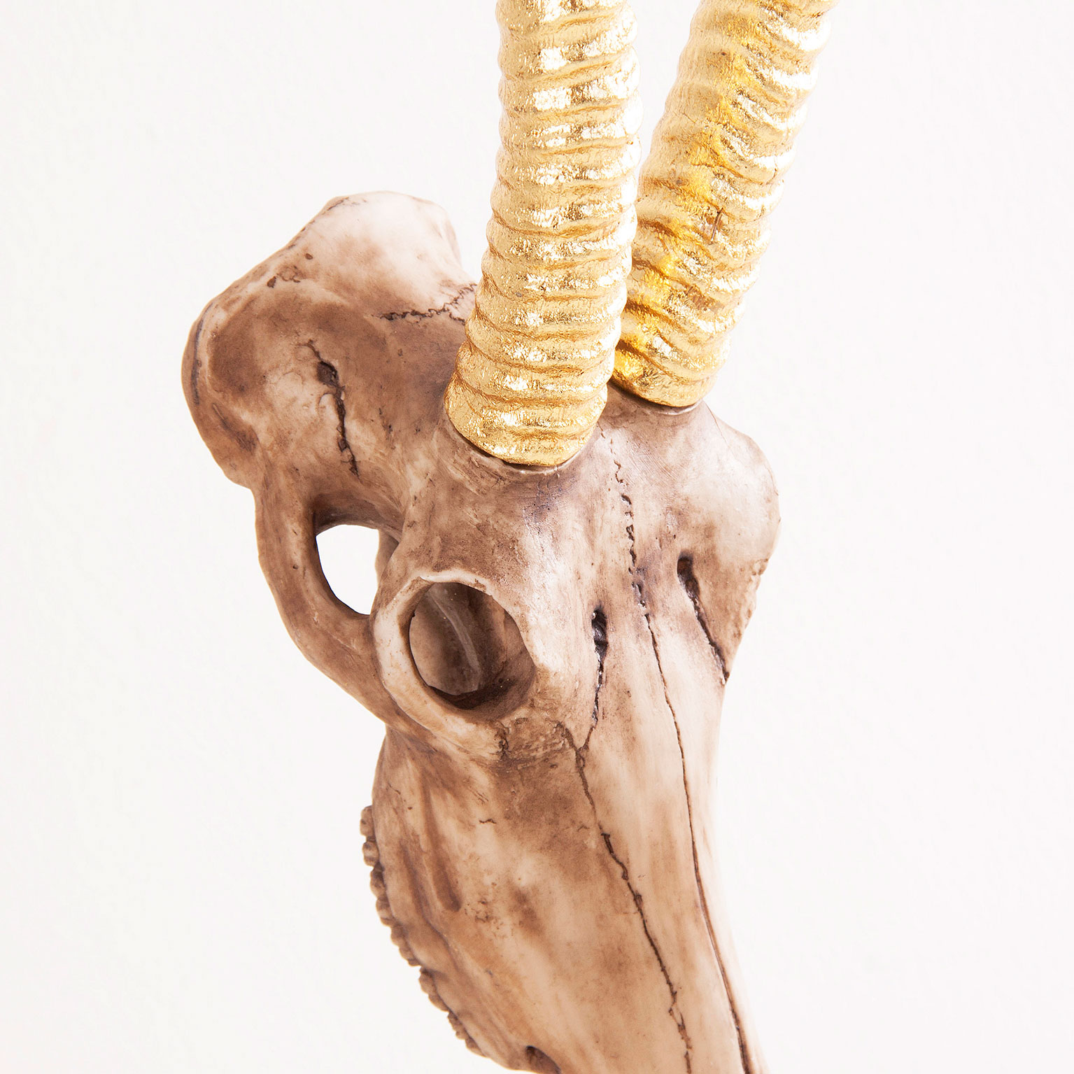 Бюст козла 22799 Vical