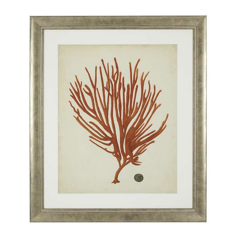 Постер Eichholtz Antique red corals 111741