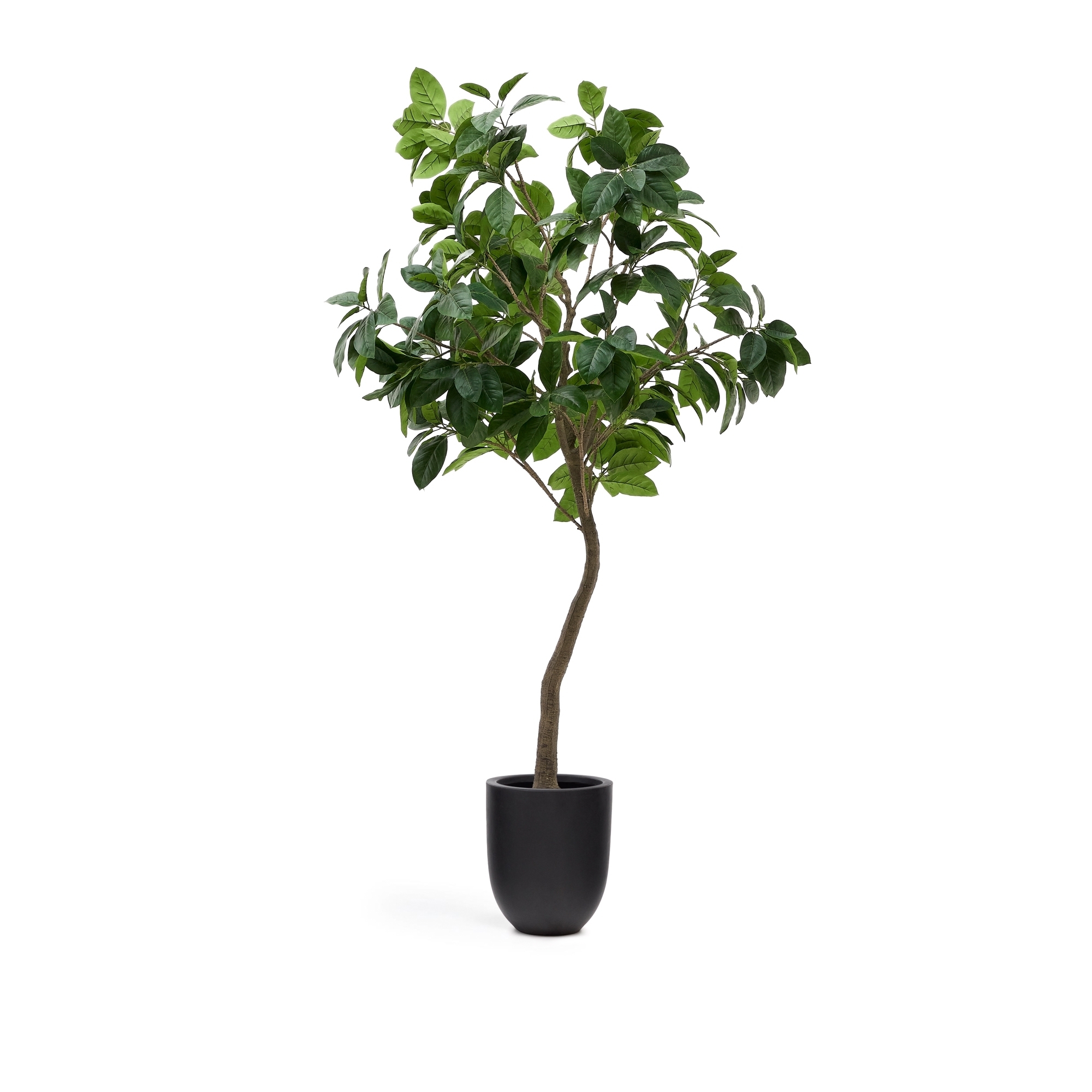 Ficus Искусственное дерево фикус в черном горшке 210 см La Forma (ex Julia Grup)