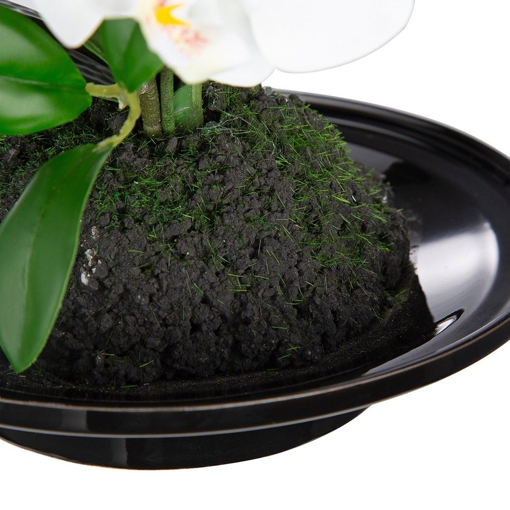 Растение декоративное Орхидея Glasar 420025-AB