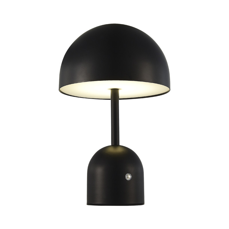 Настольная лампа Evoluce SLE1806-404-01