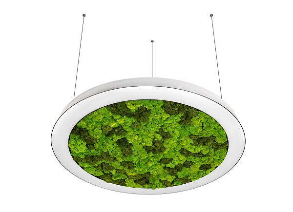 Подвесной светодиодный светильник Donolux DL800S72WW Moss White