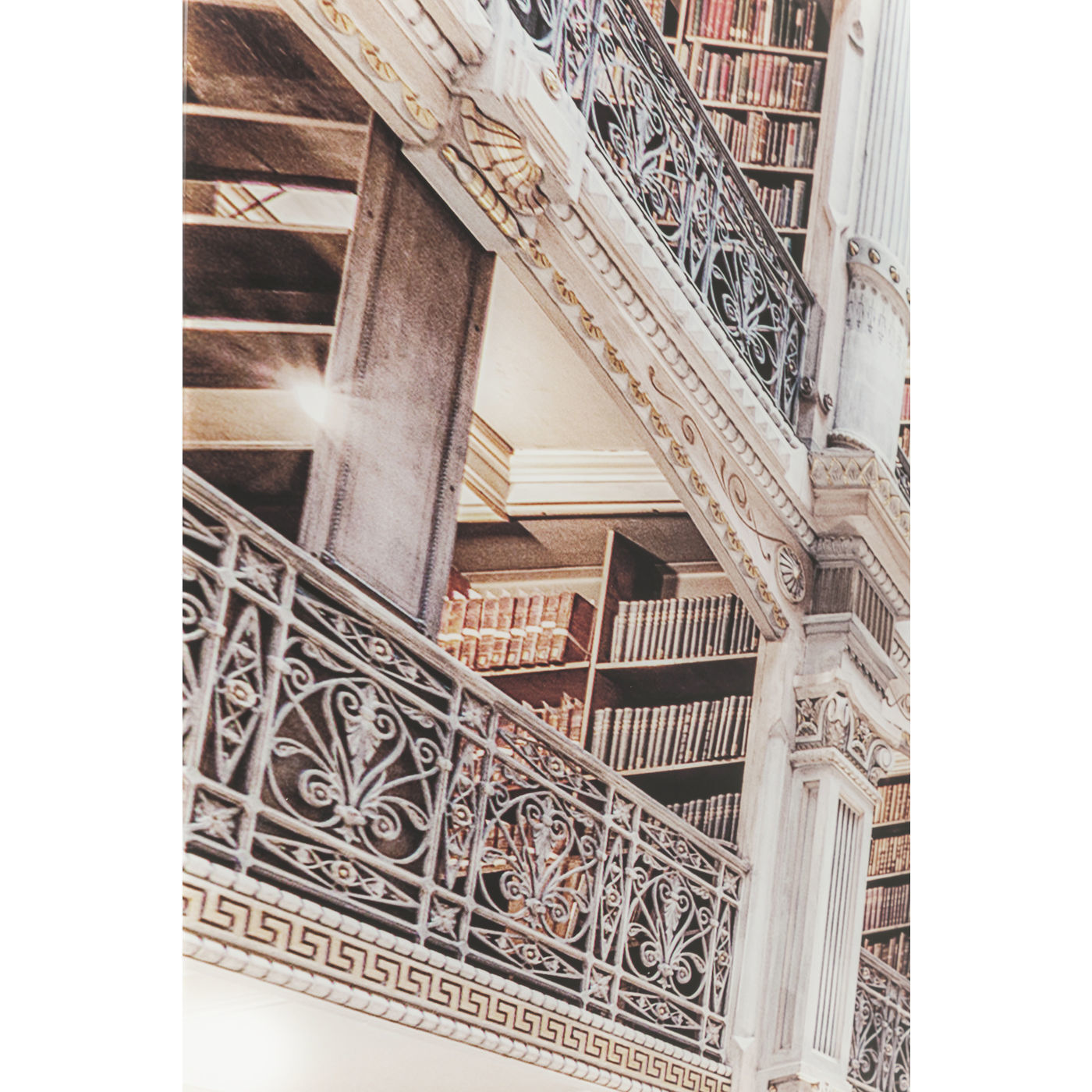 Картина Library 64686 KARE