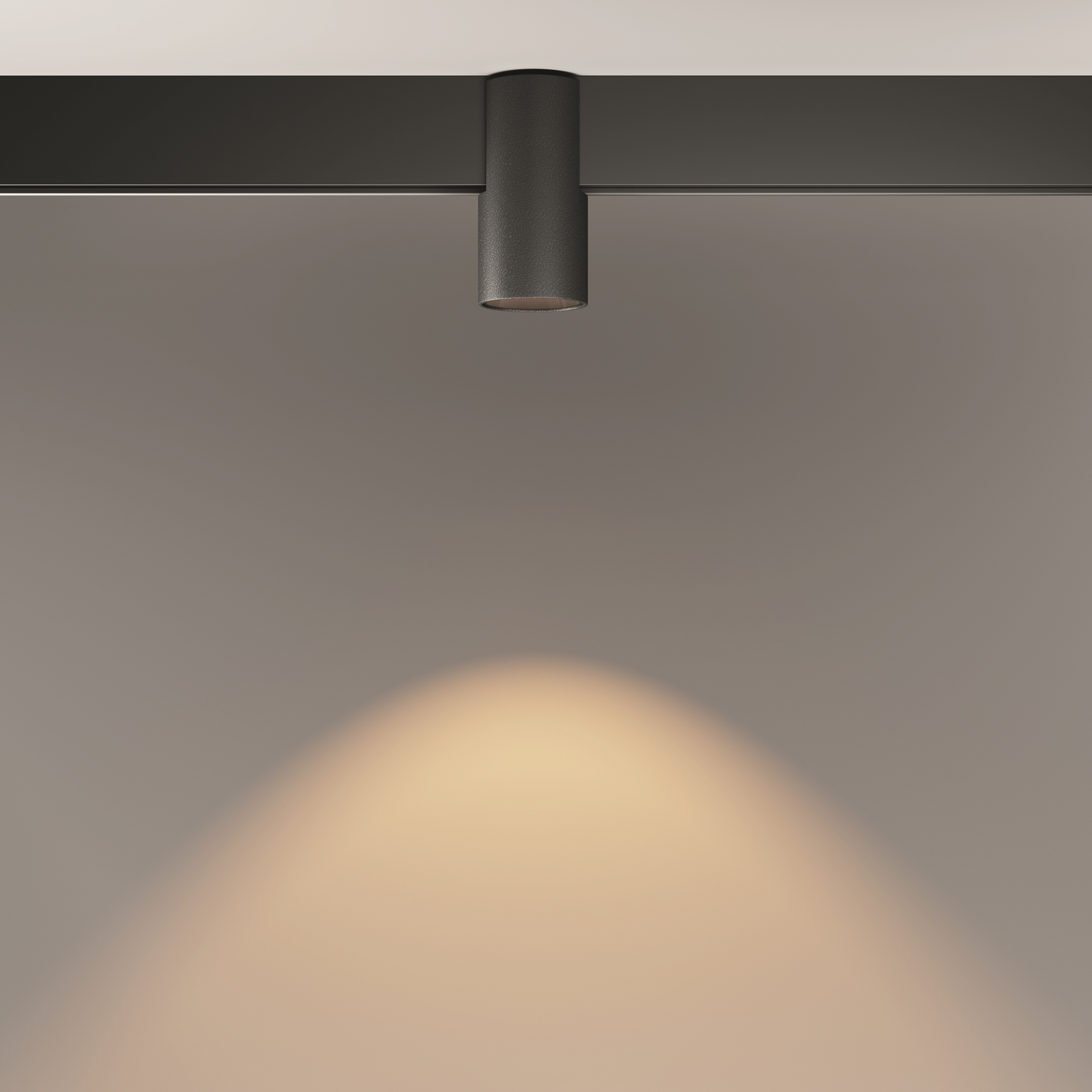 Трековый светильник Technical TR122-2-7W3K-B