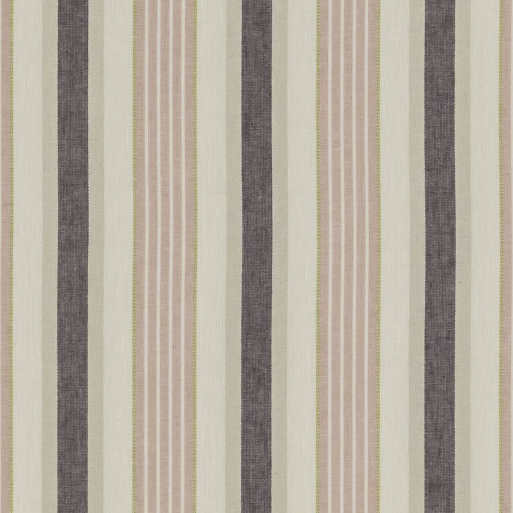 Текстиль Clarke & Clarke Botanist F1430/01