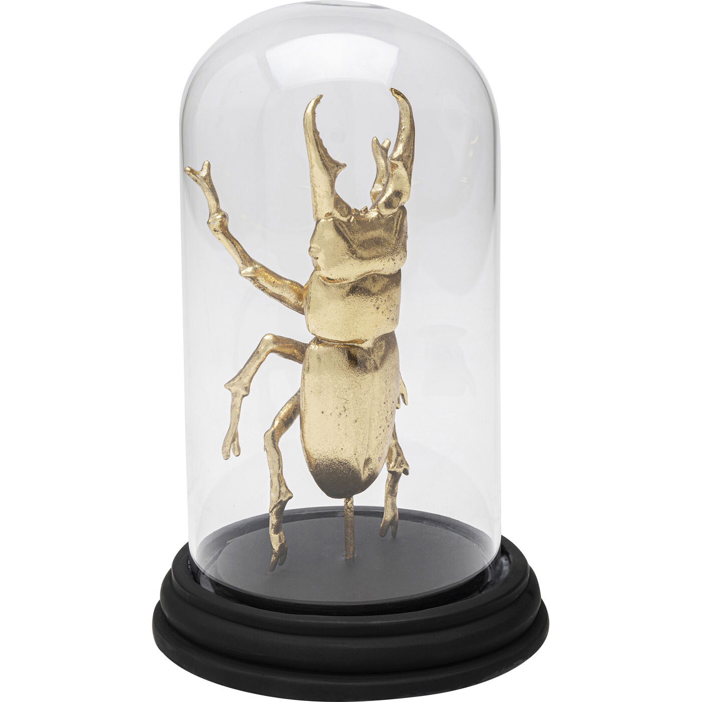 Объект декоративный Bell Jar Hercules Beetle 20cm KARE 57720