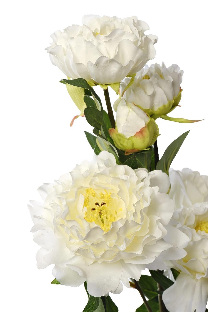 Пион кустовой белый Garda Decor 9F28514-1538