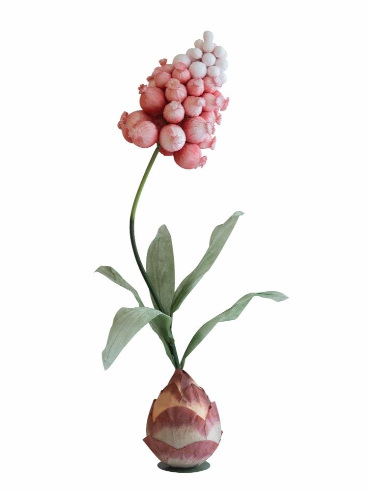 Растение декоративное Гиацинт восточный Glasar F98604