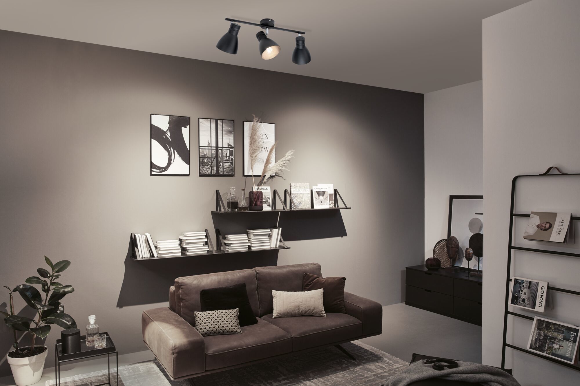 Спот Paulmann 66761