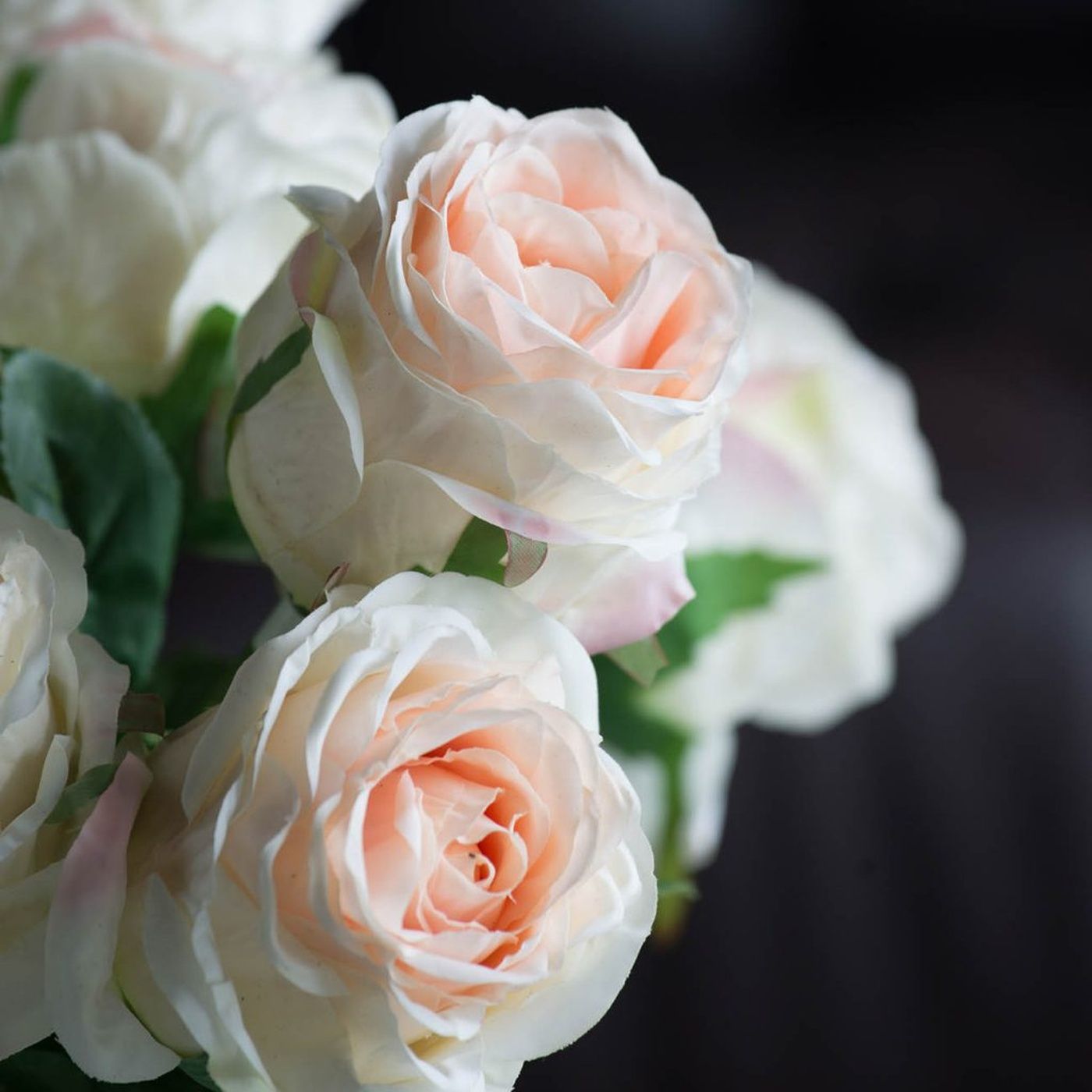 Растение декоративное Роза Glasar F29352-CREA