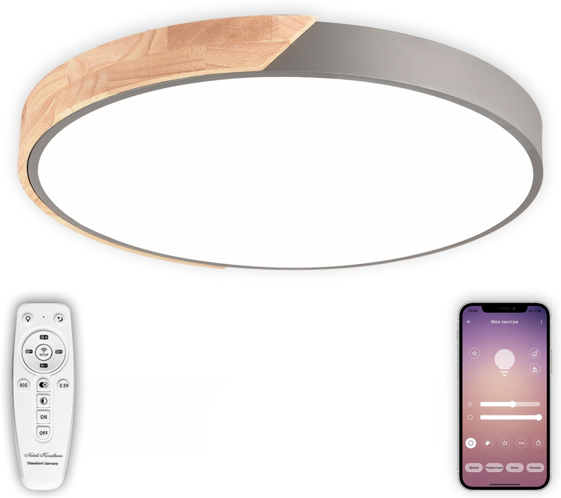 Накладной светильник Natali Kovaltseva LED LAMPS 81184