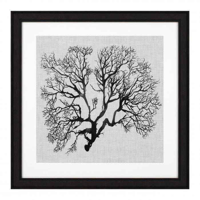 Постеры  Eichholtz Prints EC 289 Shadow Sea Fan 112752