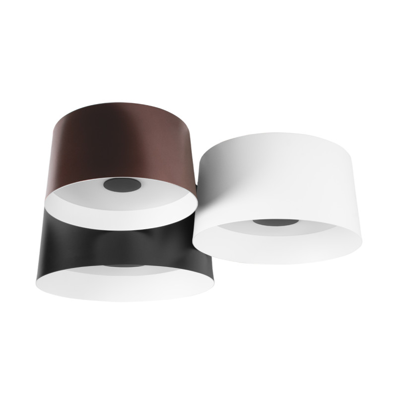 Накладной светильник LOFT IT 10360/3