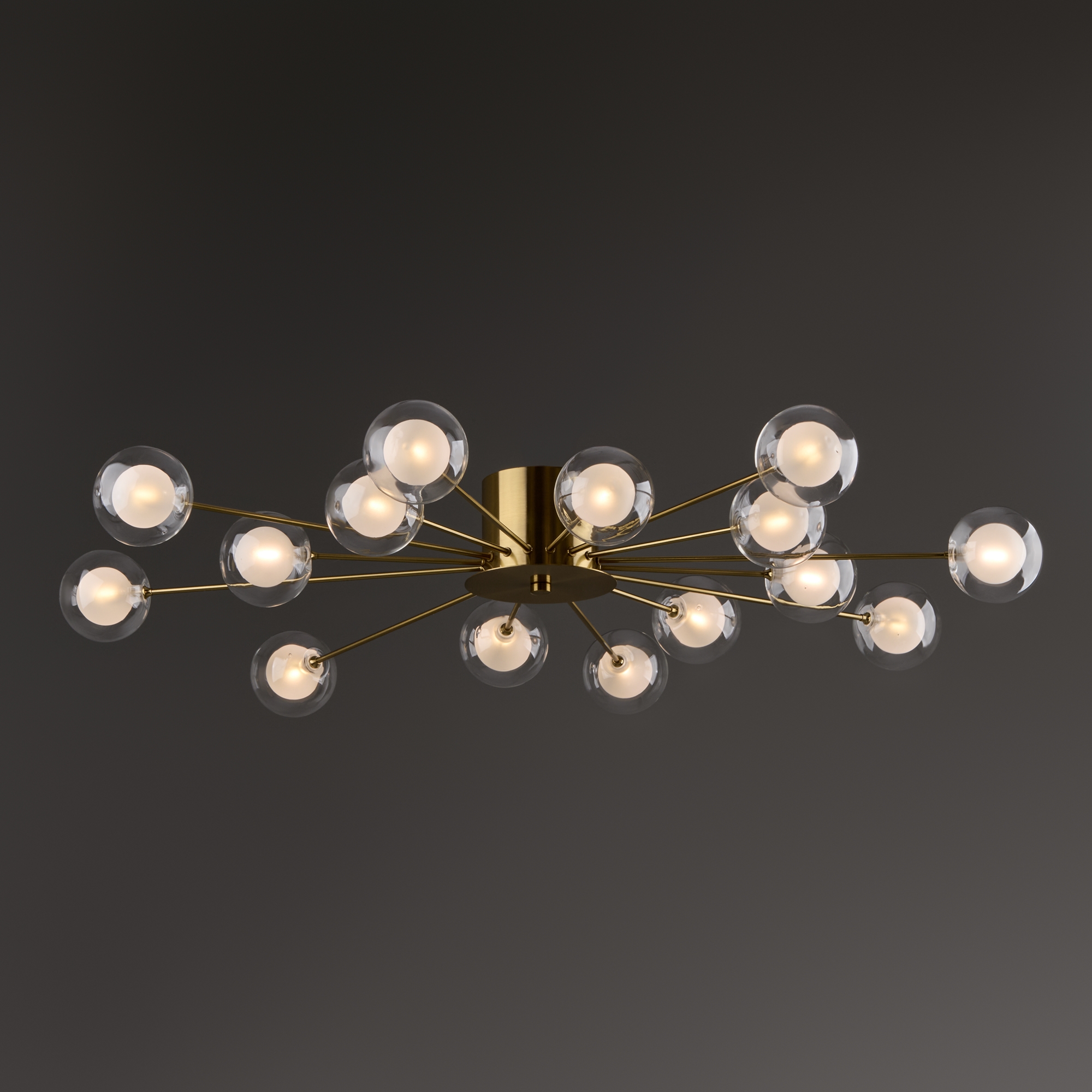 Потолочный светильник Freya FR5242CL-16BS1