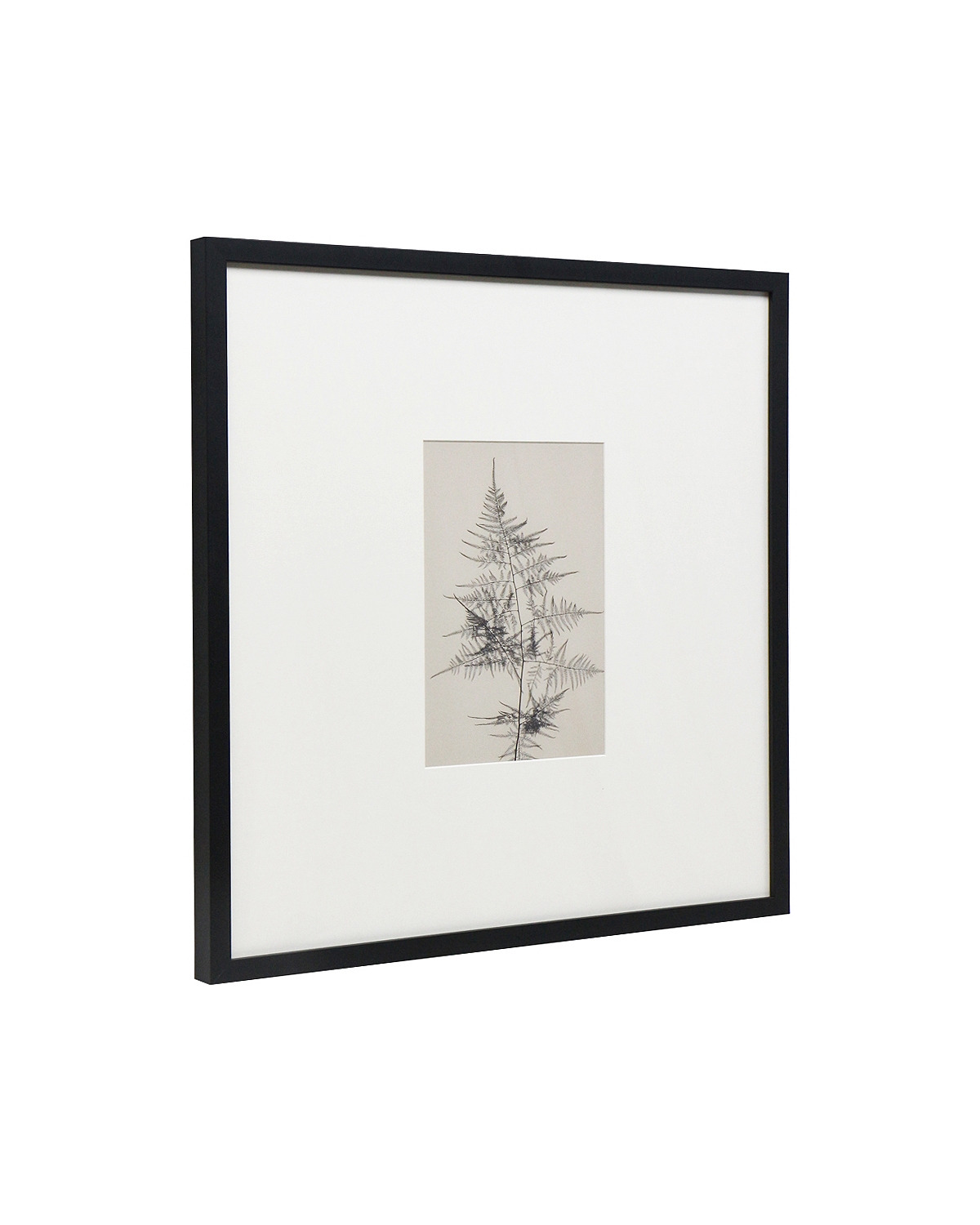 Интерьерный постер Floral - IV Louvre Home DPP250924VHS