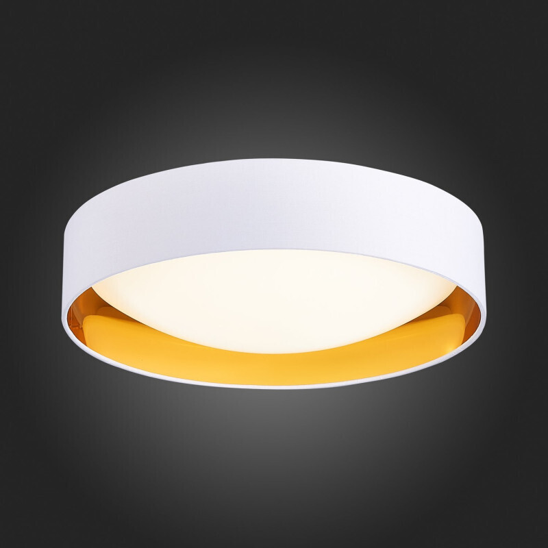 Накладной светильник Evoluce SLE201122-01