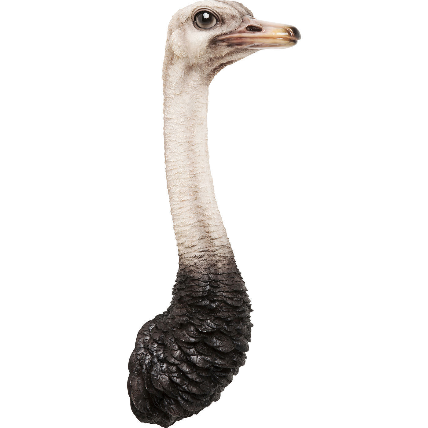 Украшение настенное Ostrich 60940 KARE