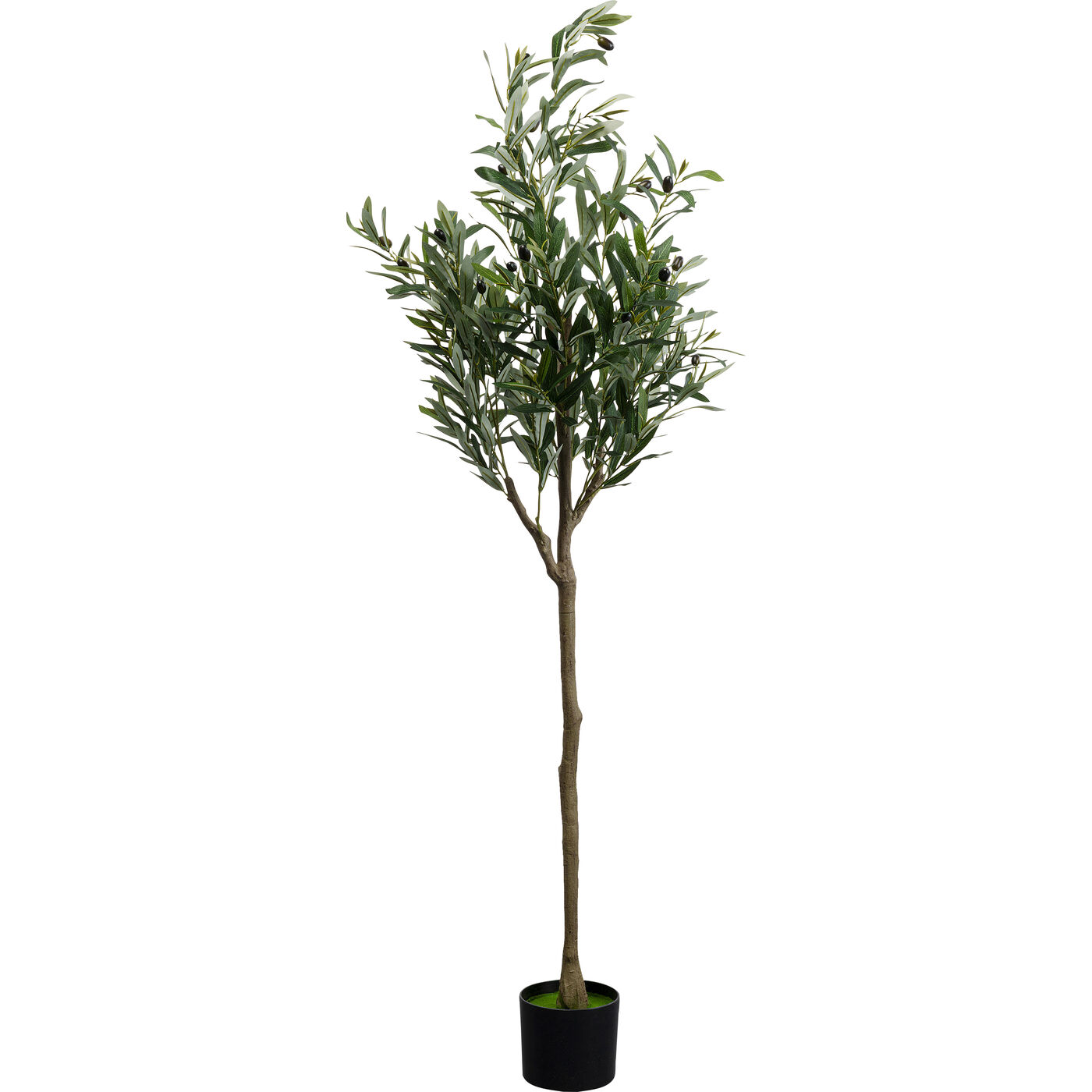 Растение декоративное Olive Tree 150 см KARE 55924