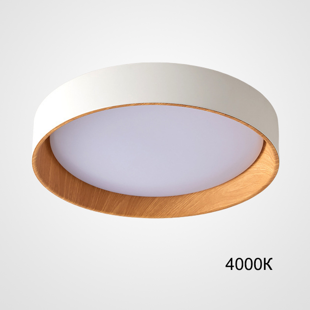 Потолочный светильник WENNY D45 4000К by ImperiumLoft