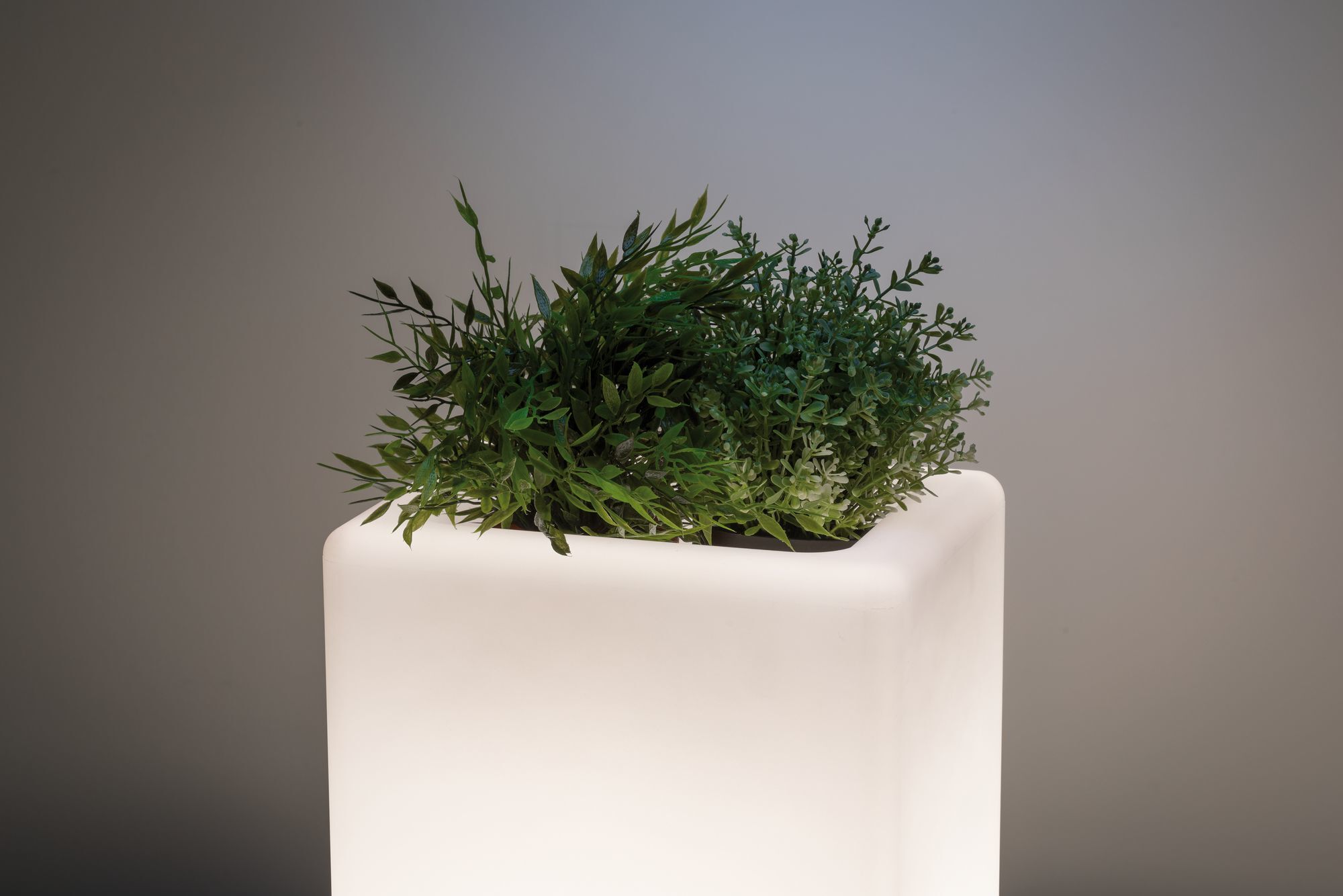 Уличный светильник Paulmann 94183