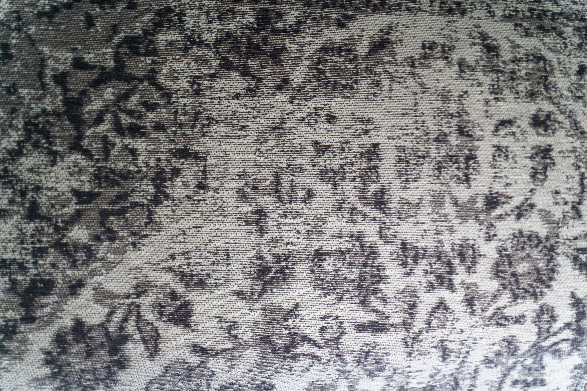 Ковер Carpet Decor Sedef Dune C1013