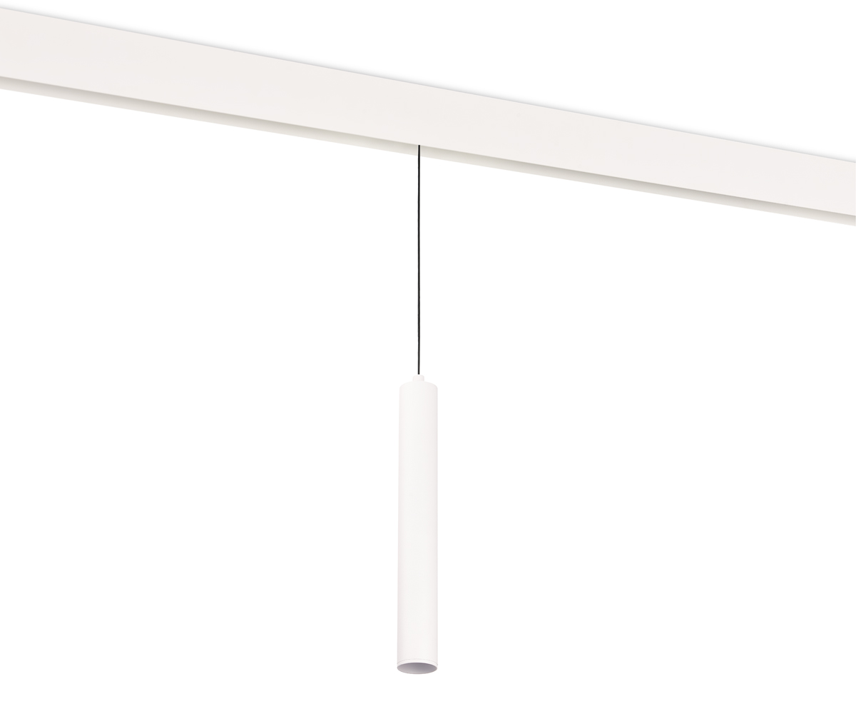 Светодиодный светильник Donolux DL20296WW10WS