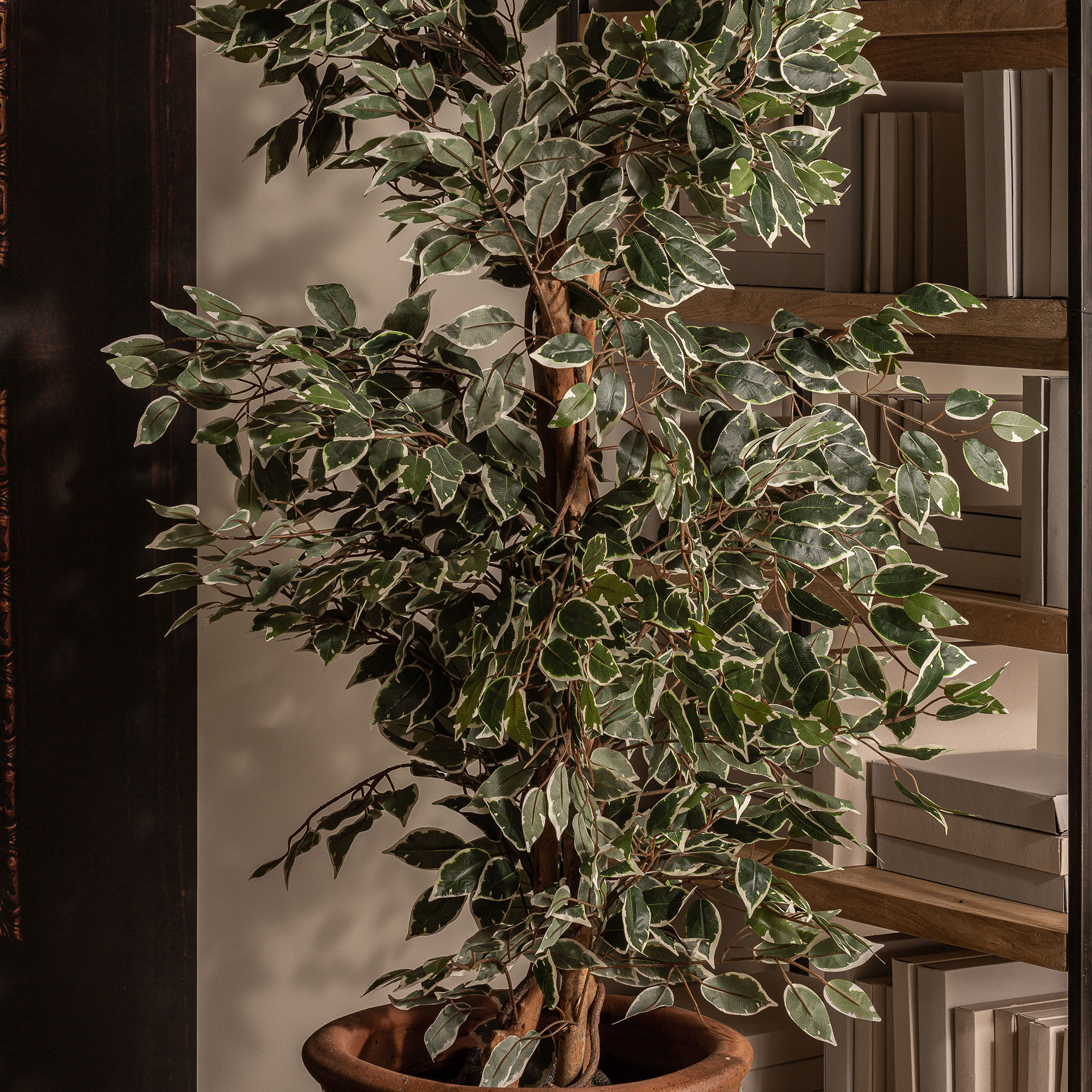 Искусственное растение FICUS Vical