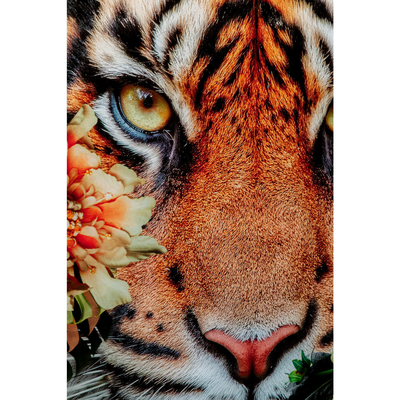 Картина Tiger 53595 Kare