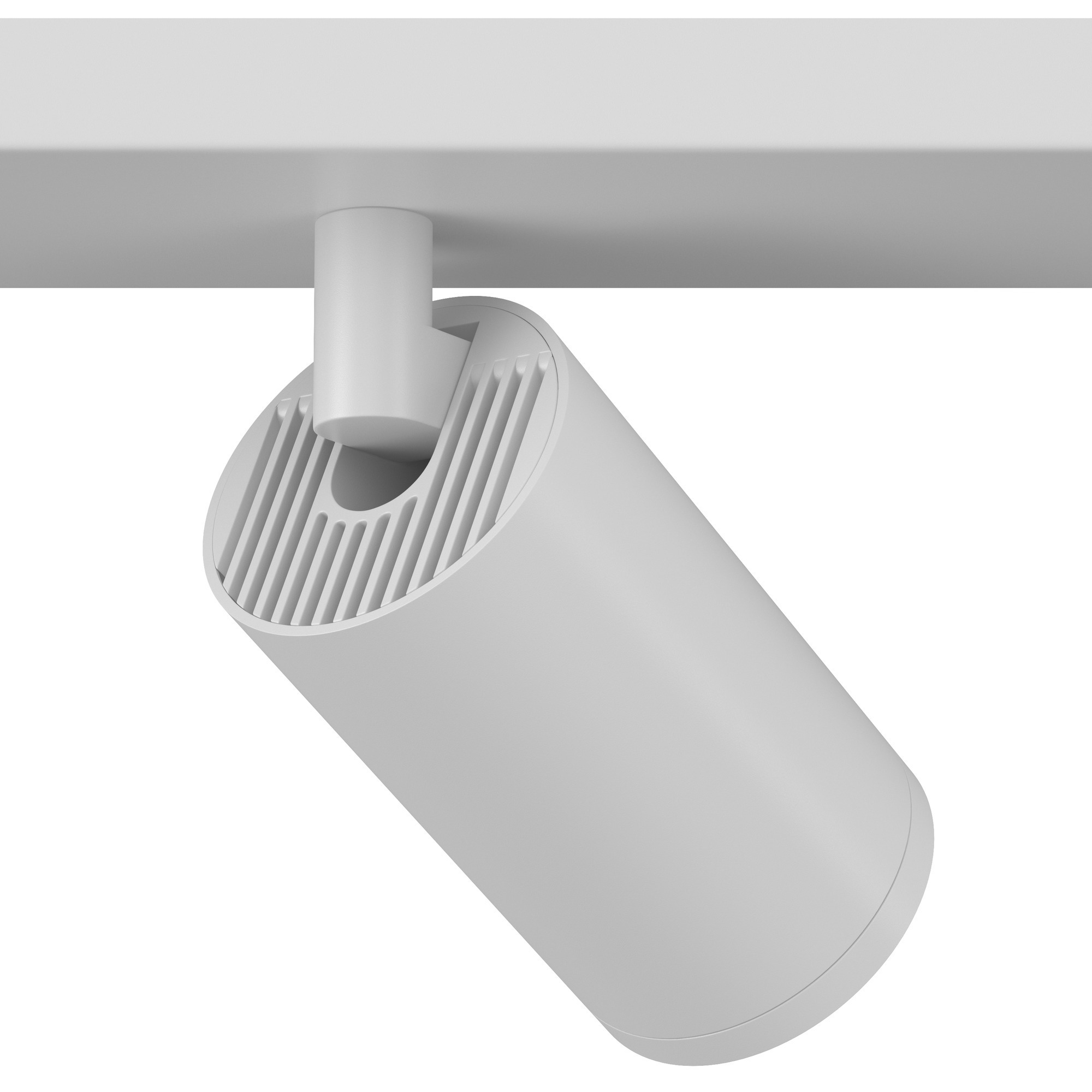 Потолочный светильник (Набор) Maytoni C051CL-2W