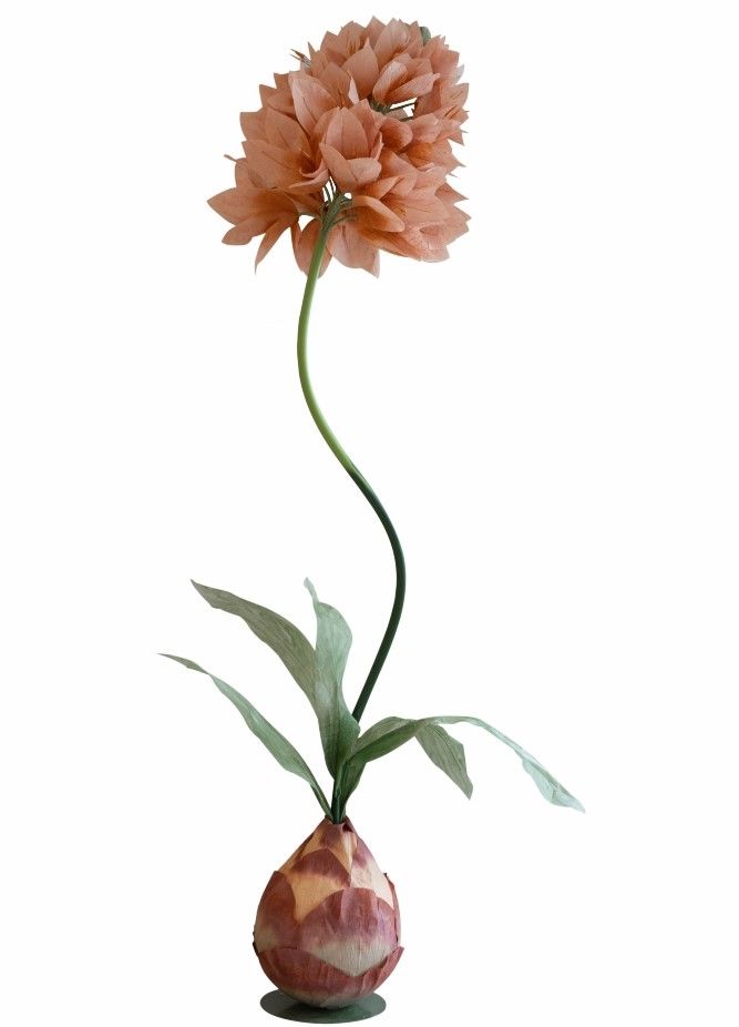 Растение декоративное Гиацинт Glasar F98606