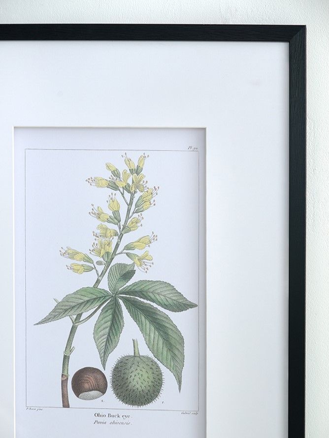 Панно Флора, набор Glasar SA80035-AB