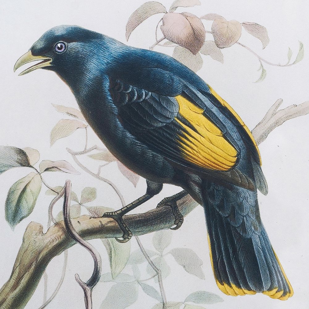 Панно Птицы, Glasar SM49936-DS