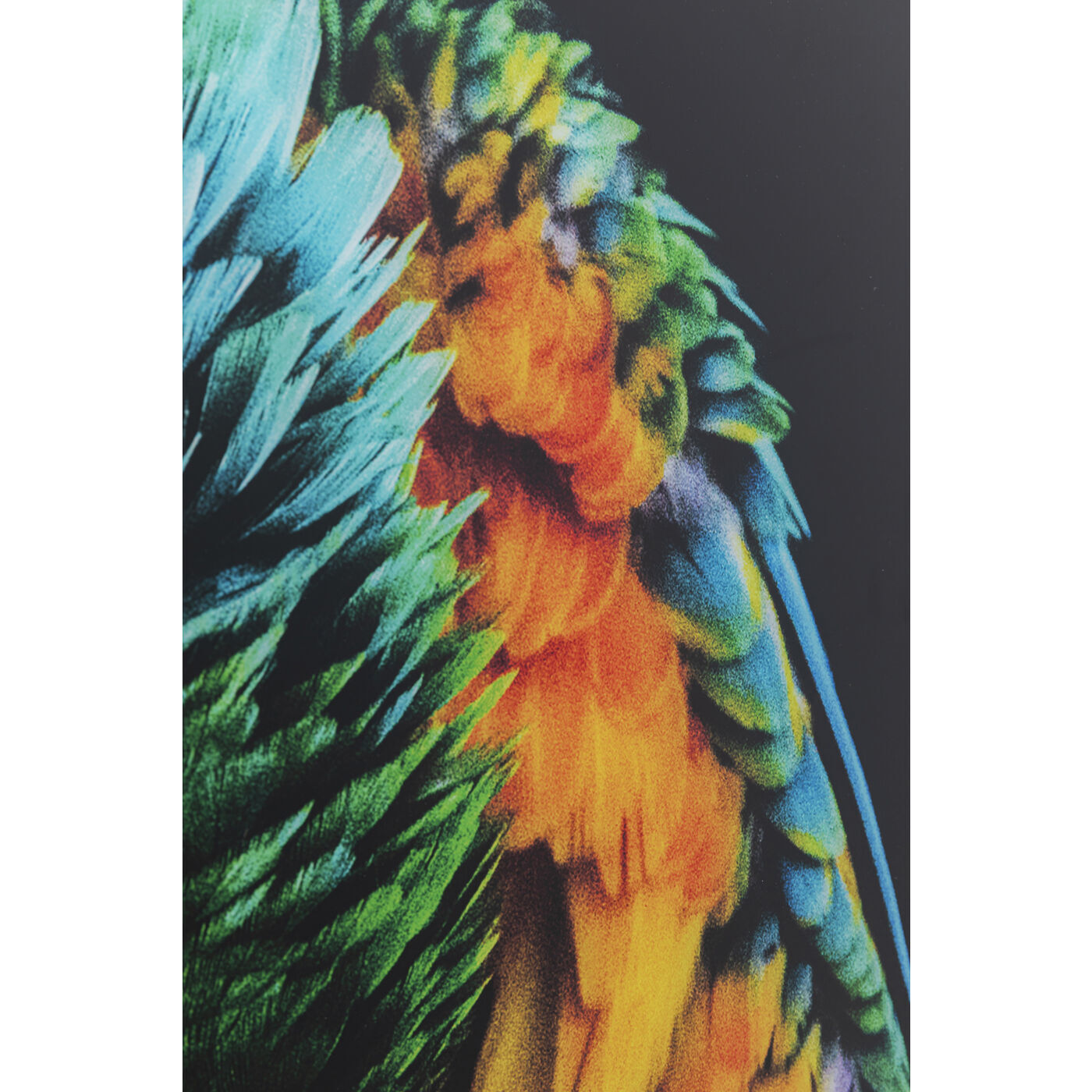 Картина Parrot 53089 Kare